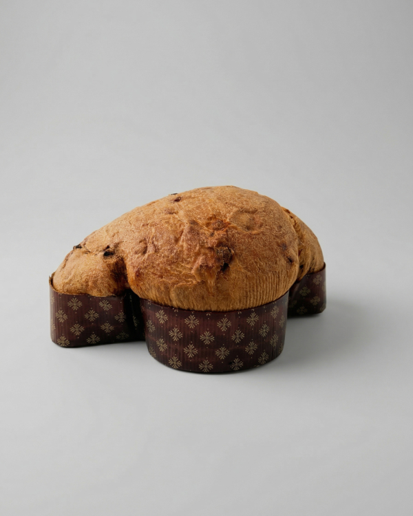 Colomba zucchine, speck e noci - 1kg